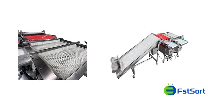 images/1752654593895Seleccionadora de blueberries.jpg